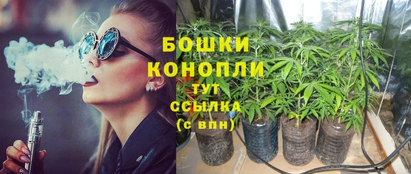 2c-b Медногорск