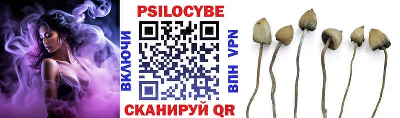 Купить где Кириши Галлюциногенные грибы Cubensis
